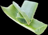 ALOE VERA GEL 